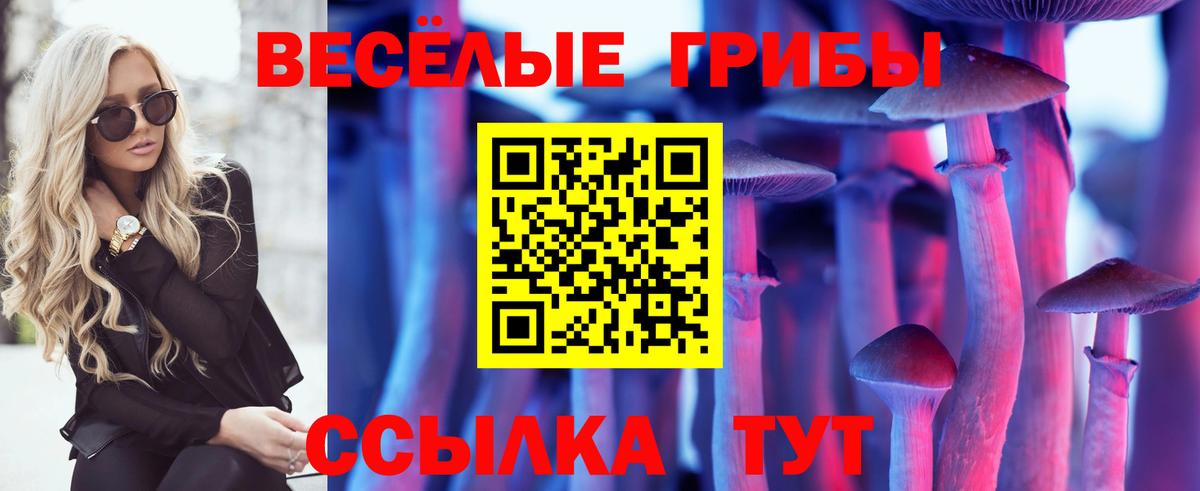 Оренбург  что такое наркотик  Галлюциногенные грибы прущие грибы  Вход с VPN  Псилоцибиновые грибы Psilocybe 